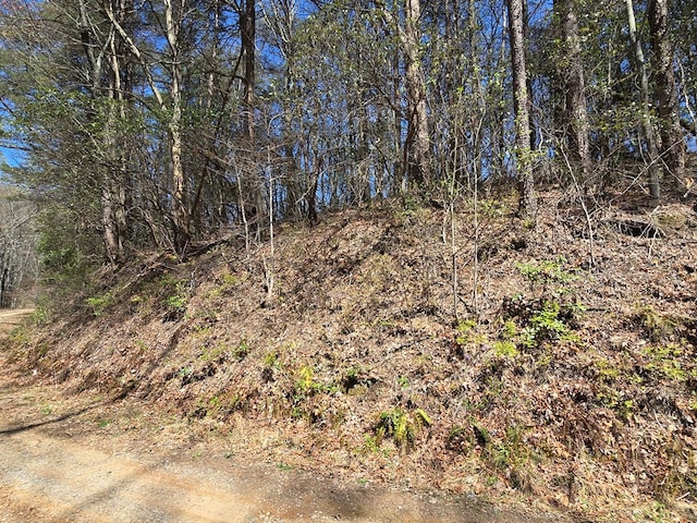 TRK1 Kimsey Mountain Hwy, Turtletown, TN 37391