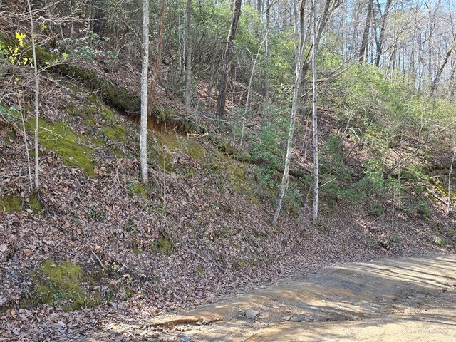 TRK1 Kimsey Mountain Hwy, Turtletown, TN 37391