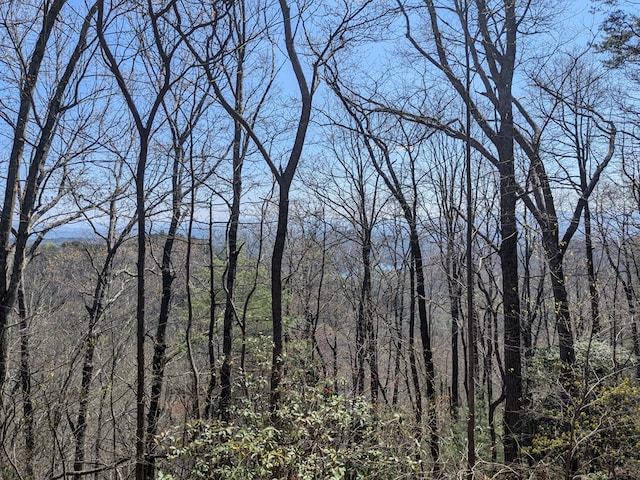 TRK1 Kimsey Mountain Hwy, Turtletown, TN 37391