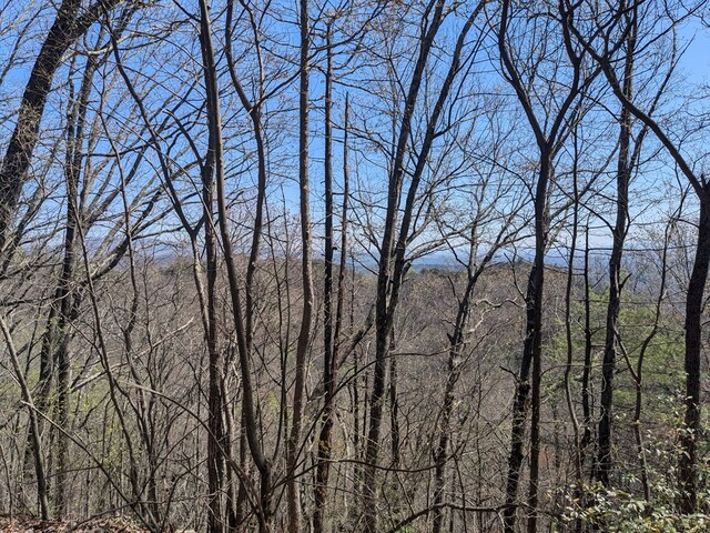 TRK1 Kimsey Mountain Hwy, Turtletown, TN 37391