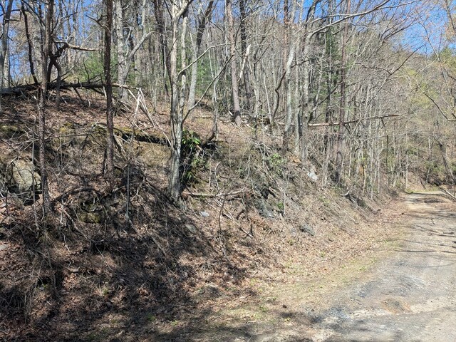 TRK1 Kimsey Mountain Hwy, Turtletown, TN 37391