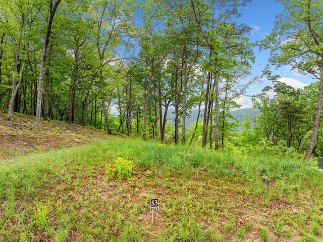 LOT53 High Summit Dr, Talking Rock, GA 30175