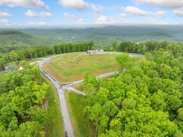 LOT53 High Summit Dr, Talking Rock, GA 30175