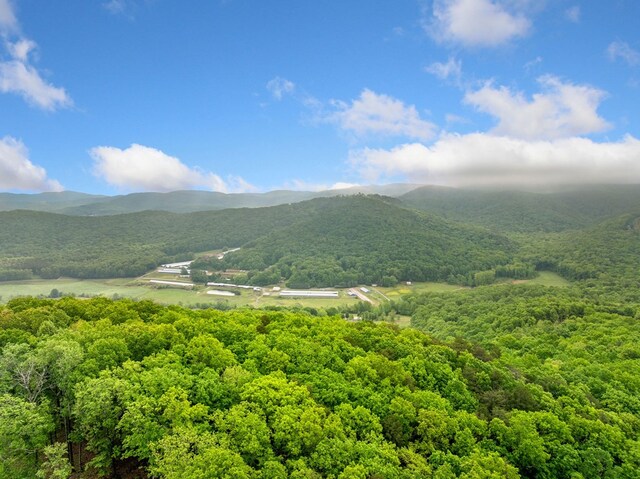 LOT53 High Summit Dr, Talking Rock, GA 30175