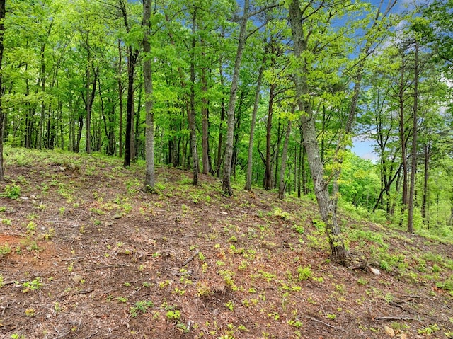 LOT53 High Summit Dr, Talking Rock, GA 30175