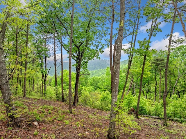 LOT53 High Summit Dr, Talking Rock, GA 30175