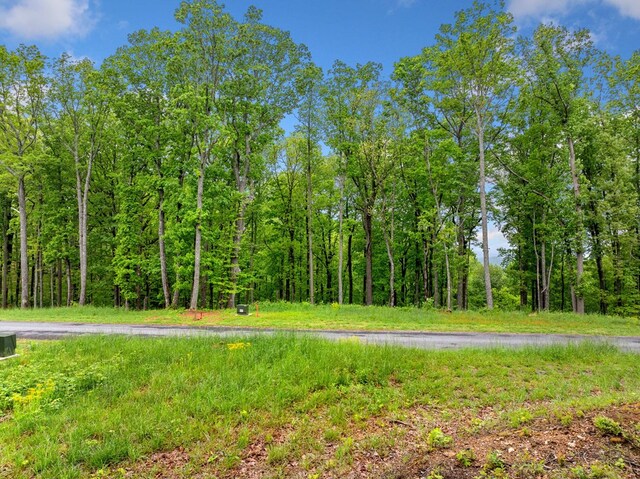 LOT53 High Summit Dr, Talking Rock, GA 30175