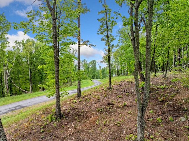 LOT53 High Summit Dr, Talking Rock, GA 30175