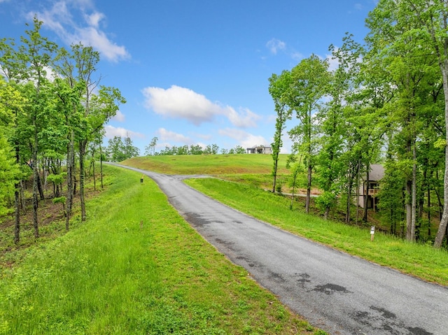 LOT53 High Summit Dr, Talking Rock, GA 30175
