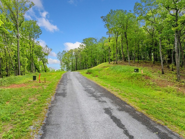 LOT53 High Summit Dr, Talking Rock, GA 30175