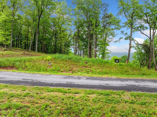 LOT53 High Summit Dr, Talking Rock, GA 30175