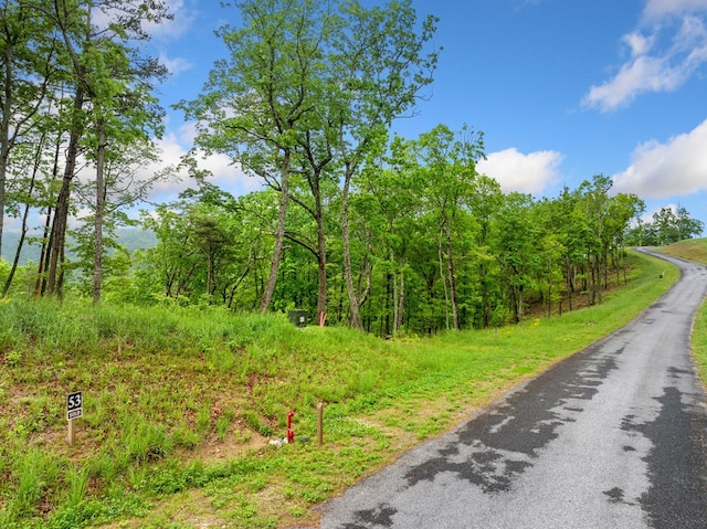 LOT53 High Summit Dr, Talking Rock, GA 30175