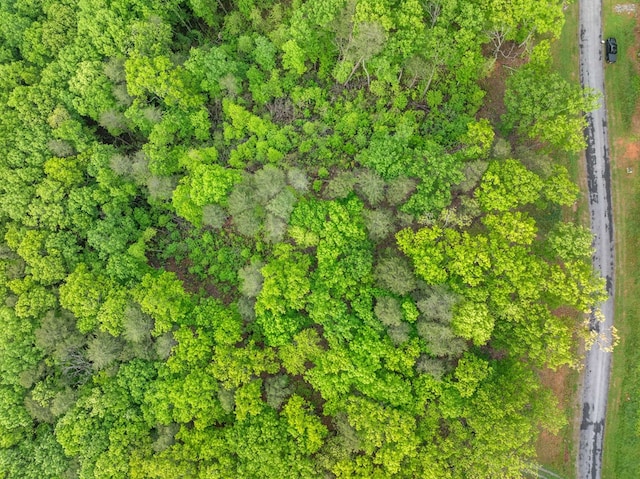 LOT53 High Summit Dr, Talking Rock, GA 30175
