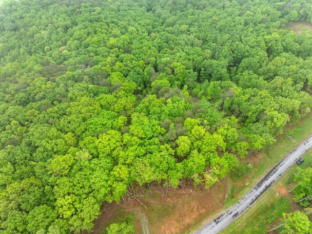LOT53 High Summit Dr, Talking Rock, GA 30175