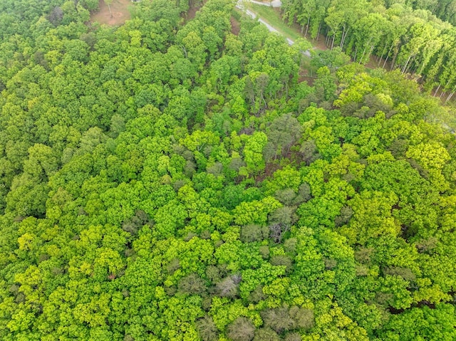 LOT53 High Summit Dr, Talking Rock, GA 30175