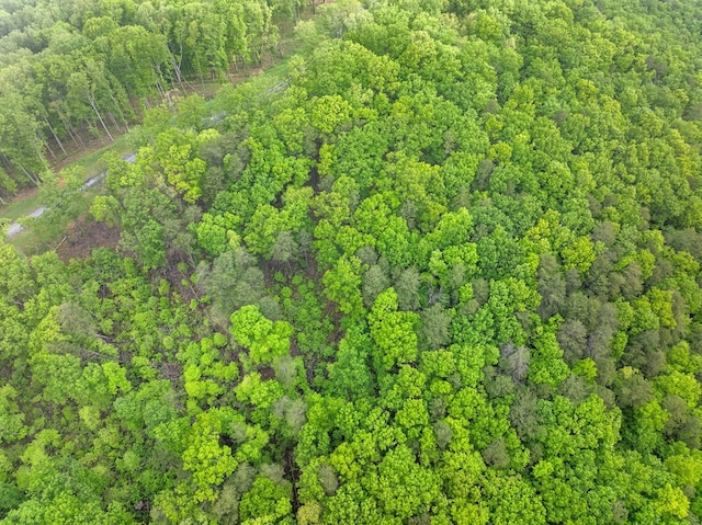 LOT53 High Summit Dr, Talking Rock, GA 30175