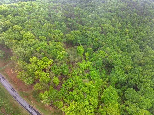 LOT53 High Summit Dr, Talking Rock, GA 30175