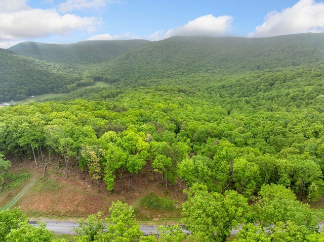 LOT53 High Summit Dr, Talking Rock, GA 30175