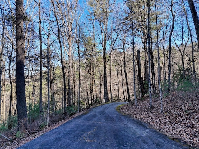 Listing photo 3 for LOT28 Highland Fls, Blairsville GA 30512