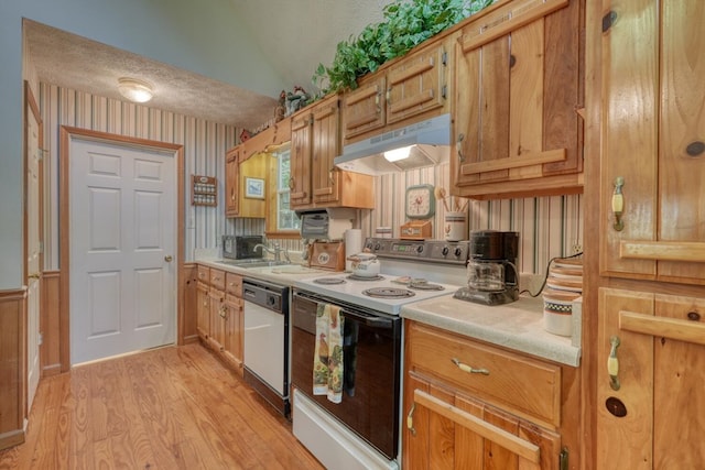 kitchen featuring sink, light hardwood / wood-style flooring, a textured ceiling, and white appliances