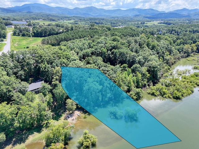 birds eye view of property featuring a water and mountain view