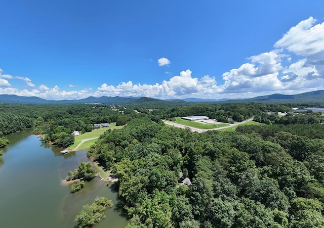 birds eye view of property featuring a water and mountain view