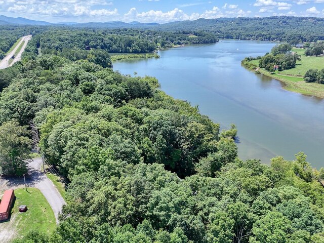 property view of water