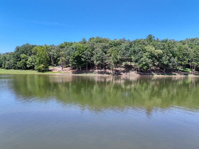 view of water feature