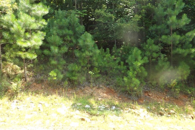 Listing photo 2 for LOT361 Ridge Pointe Way, Blairsville GA 30512