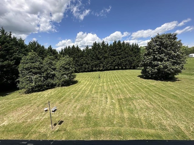 view of yard featuring a rural view