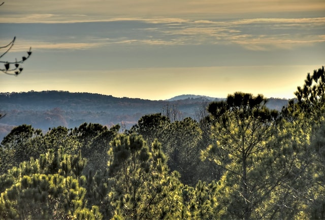 view of mountain feature