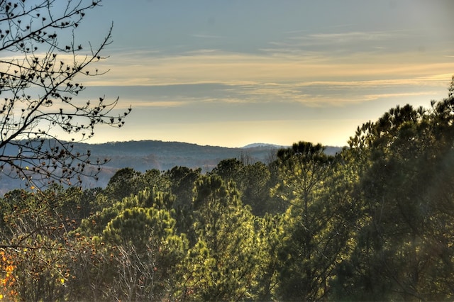 view of mountain feature