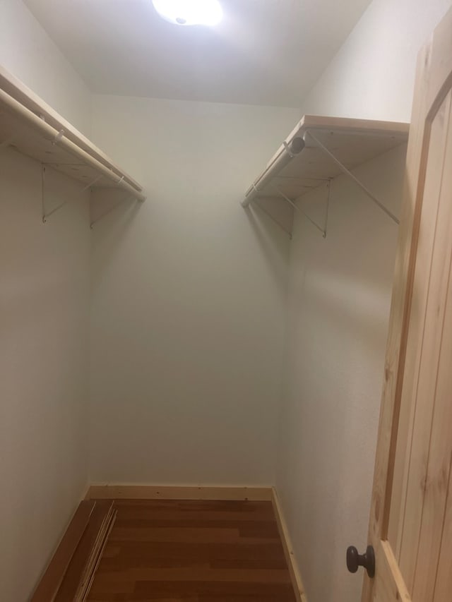 spacious closet featuring dark wood-type flooring