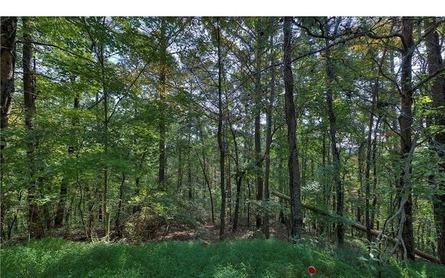 1038 Astro Ct, Ranger GA, 30734 land for sale