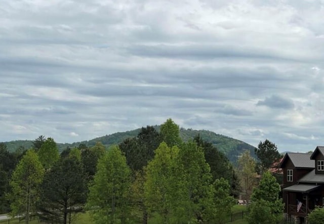 Listing photo 2 for LOT65 Village Loop, Blairsville GA 30512