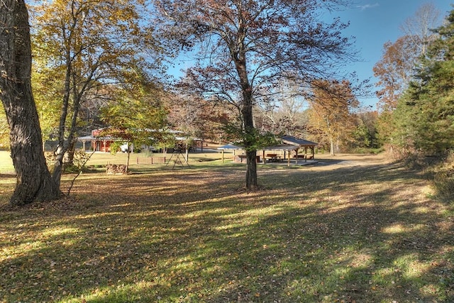 4011 Murphy Hwy, Mineral Bluff, GA 30559 - view of grassy yard