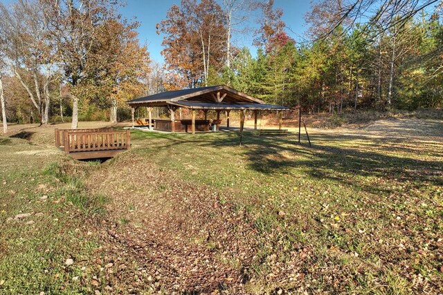4011 Murphy Hwy, Mineral Bluff, GA 30559 - surrounding community with a yard and a gazebo