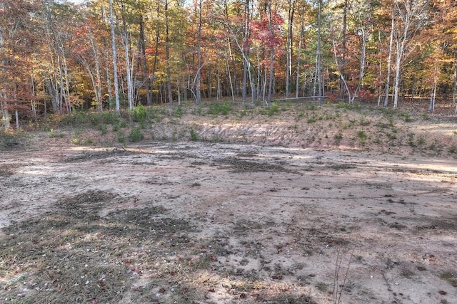 4011 Murphy Hwy, Mineral Bluff, GA 30559 - view of road with a forest view