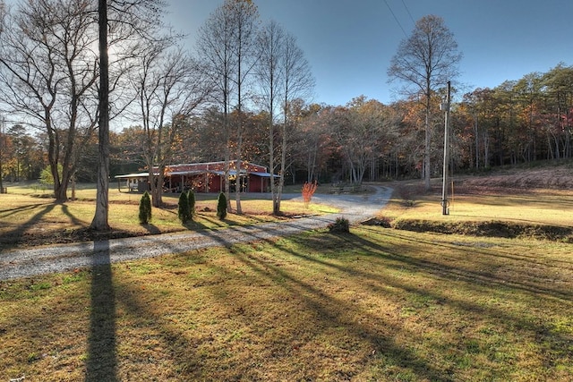 4011 Murphy Hwy, Mineral Bluff, GA 30559 - view of green lawn featuring a forest view and gravel driveway