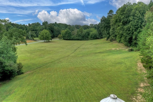 4011 Murphy Hwy, Mineral Bluff, GA 30559 - view of green lawn
