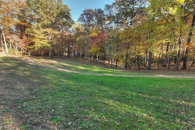 4011 Murphy Hwy, Mineral Bluff, GA 30559 - view of grassy yard featuring a forest view