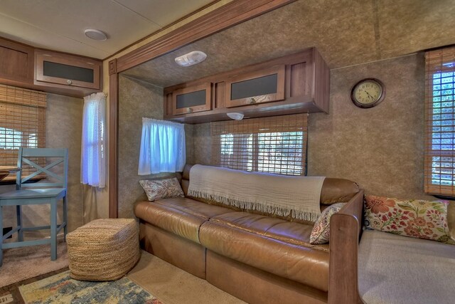 4011 Murphy Hwy, Mineral Bluff, GA 30559 - living area featuring plenty of natural light and carpet floors