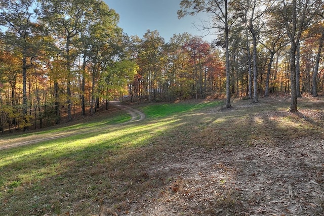 4011 Murphy Hwy, Mineral Bluff, GA 30559 - view of grassy yard with a forest view