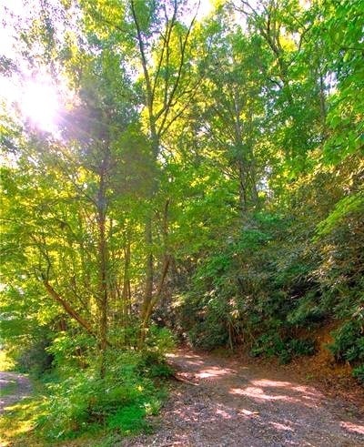 Listing photo 2 for 0TRACT2 Myra Branch Rd, Helen GA 30545