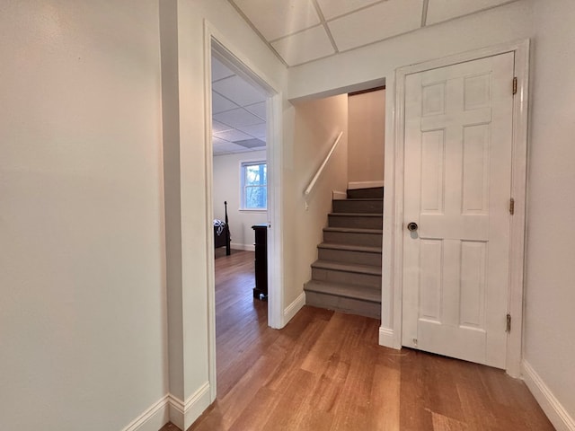 stairway featuring a paneled ceiling, baseboards, and wood finished floors