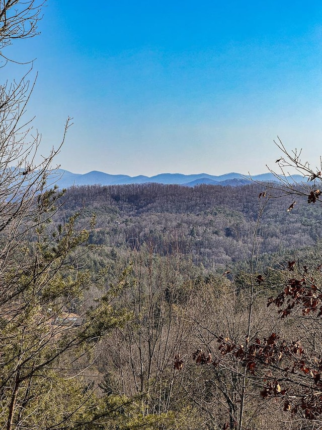 LOT1 Lucky Leaf Ln, Murphy NC, 28906 land for sale