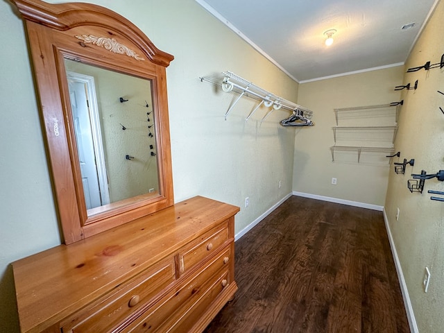 walk in closet featuring dark wood-style floors