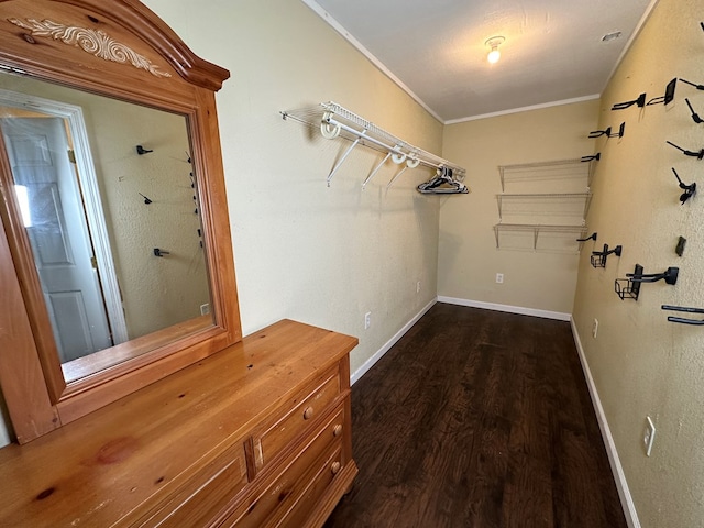 walk in closet featuring wood finished floors