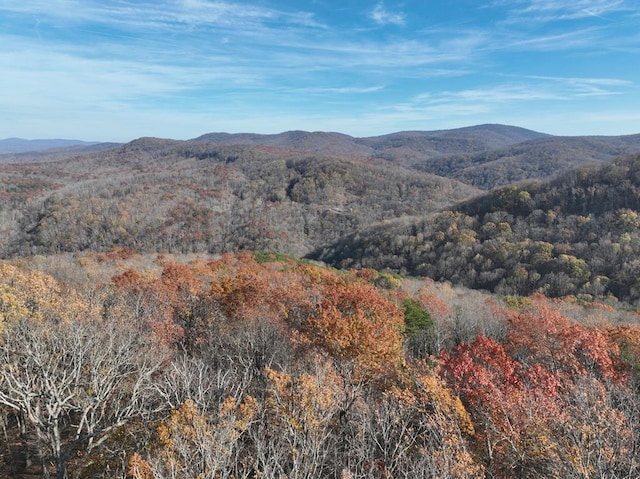 274 Andes Rdg, Ellijay GA, 30536 land for sale