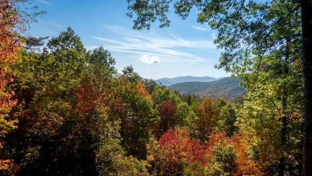 587 Lower Prince Mountain Rd, Cherry Log, GA 30522 - mountain view featuring a forest